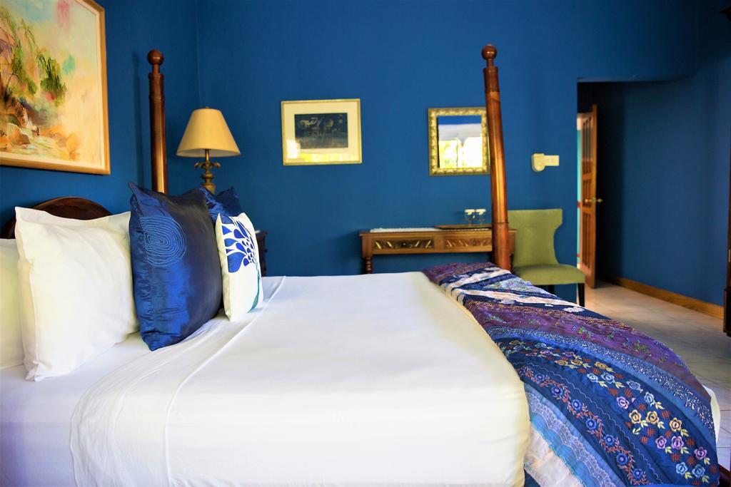 The Blue House Boutique Bed & Breakfast Ocho Rios Zewnętrze zdjęcie